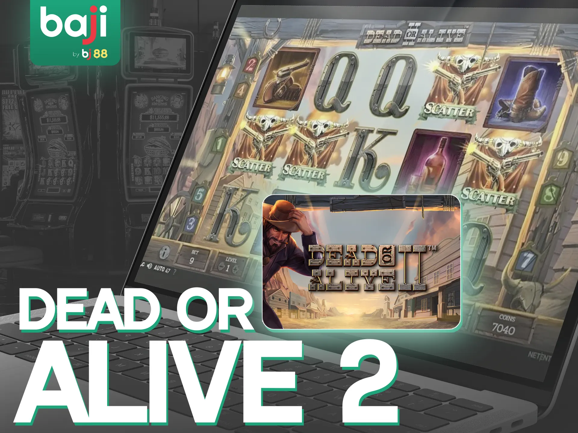 Test your luck in thrilling video slot Dead or Alive 2 at Baji Live.