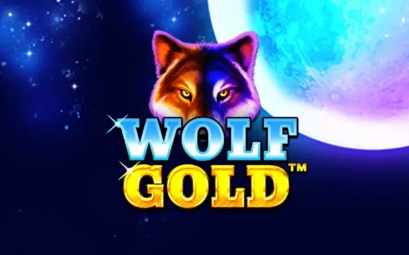 Find the popular Wolf Gold game at Baji Live online casino.